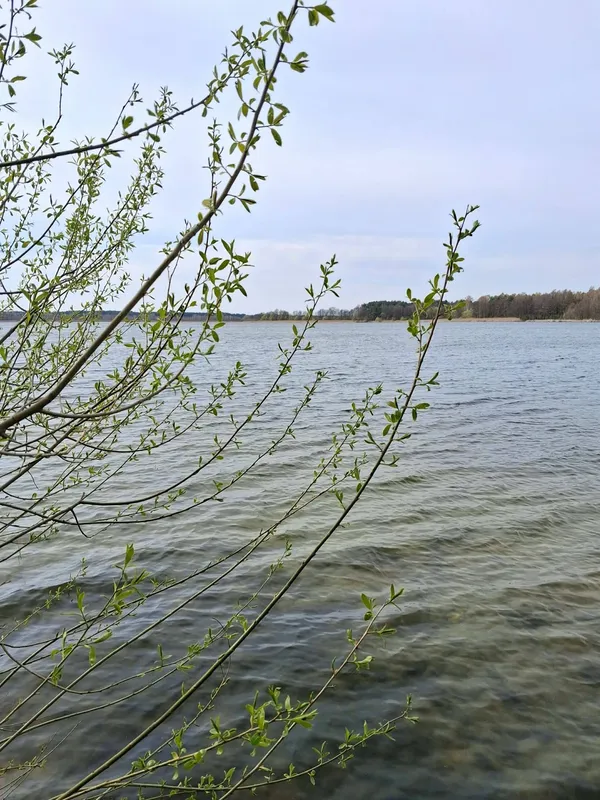 Весна на Шацьких озерах: місцеві показали неймовірні краєвиди (фото)