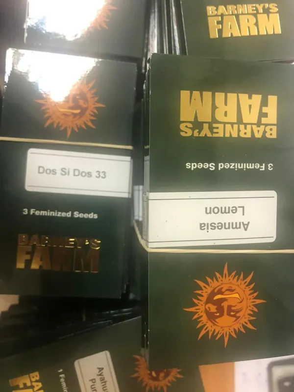 В «Ягодині» в рейсовому автобусі знайшли 115 упаковок насіння конопель (фото)