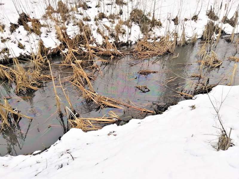У Луцьку річку отруюють нафтопродуктами, – соцмережі (фото)