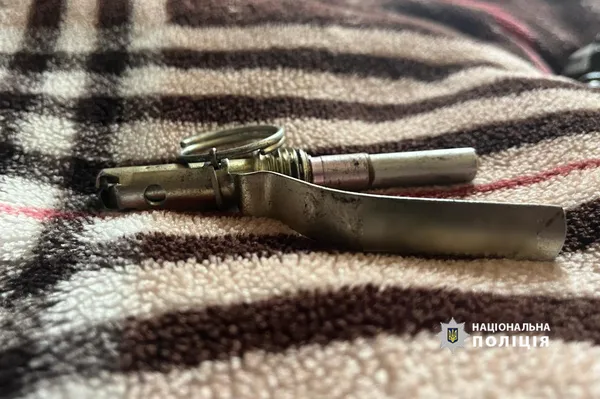 В домашнього тирана і в п'яного скутериста: у волинян знайшли гранати Ф-1 із запалами (фото)