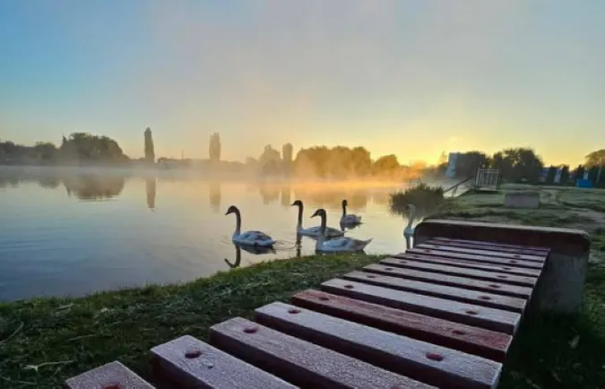 Фото: Саша Шаула