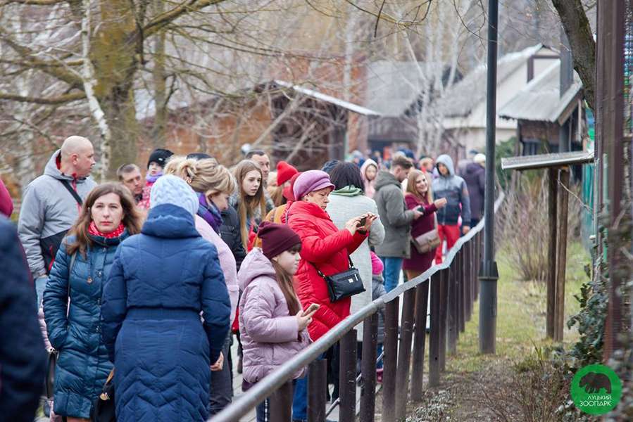За 8 березня луцький звіринець відвідали понад 4 тисячі жінок (ФОТО)