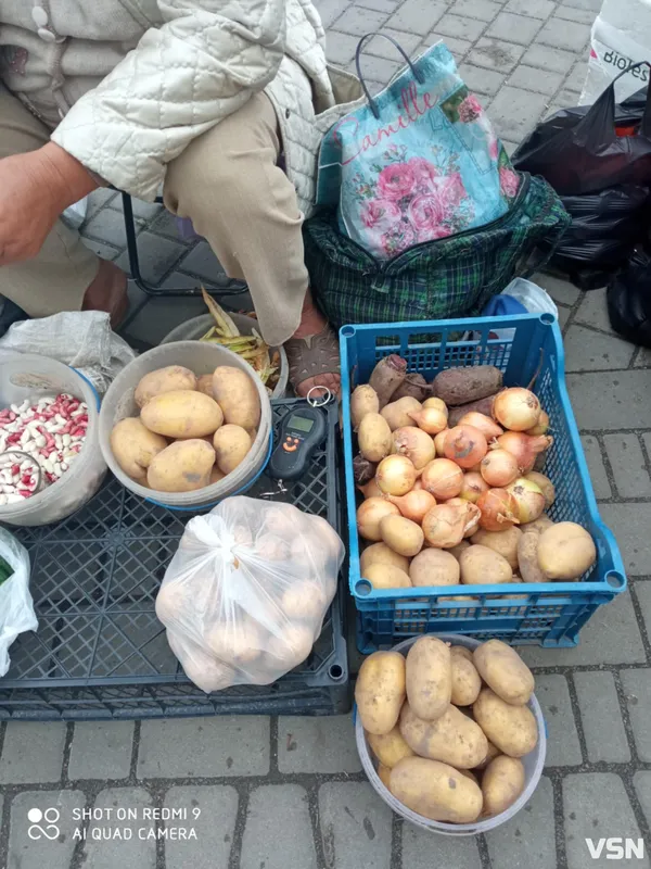 Скільки коштує свіжа домашня городина на ринку (ціни, фото)