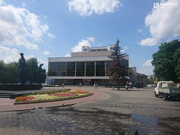 У Луцьку масово сохнуть ялинки, – екологи (ФОТО)