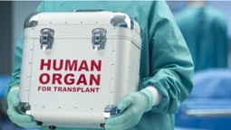 Уряд дозволив робити операції з пересадки органів у луцькій лікарні (відео)
