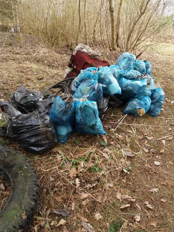 Назбирали 5 возів сміття: на Волині пройшов еко-челендж