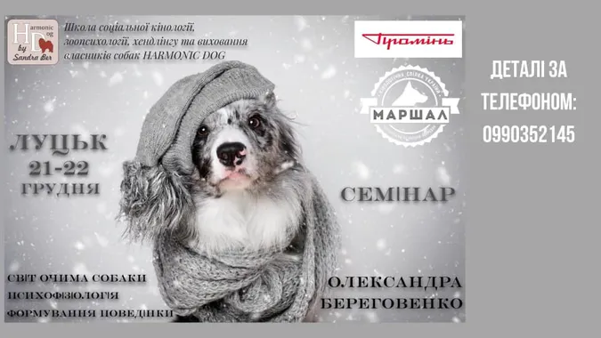 У Промені відбудеться інтенсив «Світ очима собаки»*