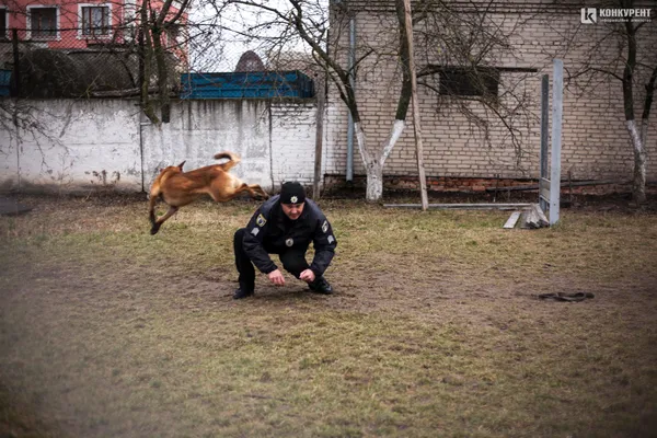 Відбираємо собак за характером, – полісмен-кінолог Волині про службу із чотирилапими напарниками (інтерв’ю)