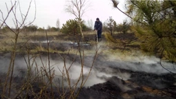 У Шацькому районі загасили пожежу на торф'янику (фото)