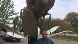 "Буде довго стояти", – творець гігантського пам'ятника бджолі на Волині (фото)