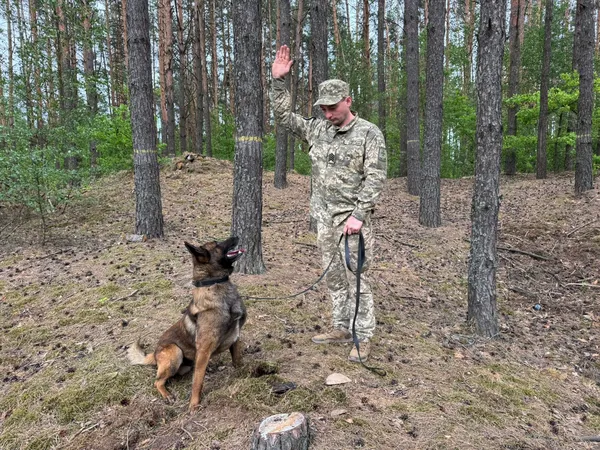 Служба з чотирилапими напарниками: як прикордонник із Волині здійснив дитячу мрію (фото)