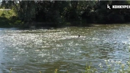У ставку в Луцькому районі потонув пенсіонер (відео)