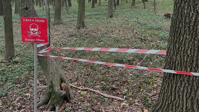 Замість грибів – снаряди: на Західній Україні у лісах виявляють небезпечні знахідки (фото)