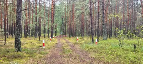 В нацпарку на Волині подбали про захист від пожеж: що зробили (фото)