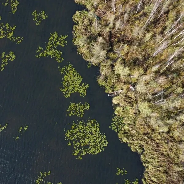 Перехоплює дух: показали неймовірні світлини Шацьких озер з висоти