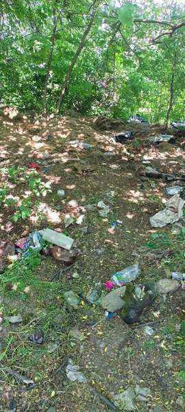 На околицях Луцька розвели стихійні сміттєзвалища (фото)