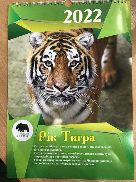 Рік тигра: «Луцький зоопарк» випустив календар на 2022 рік (фото)