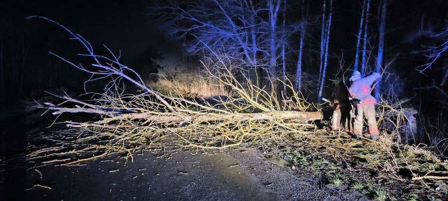 На Ковельщині серед дороги впало дерево і заблокувало рух: працювали рятувальники