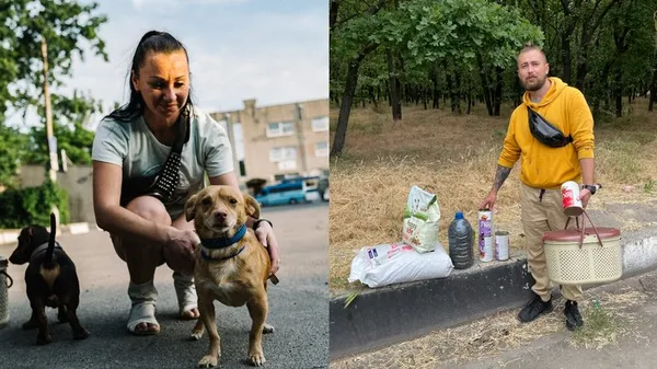 Херсонський кіт Кавун знайшов новий дім у Луцьку (фото, відео)