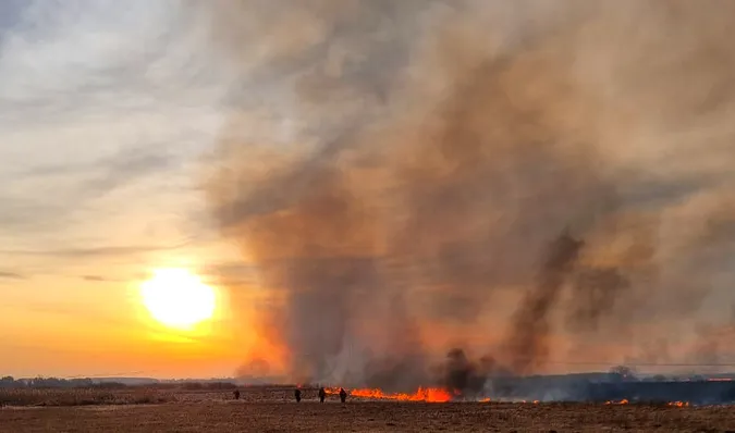 На Волині за день ліквідували 6 пожеж сухостою