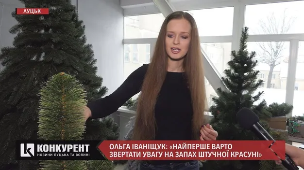 «Штучні ялинки бувають за ціною холодильника», – власниця ялинкового бізнесу з Луцька (відео)