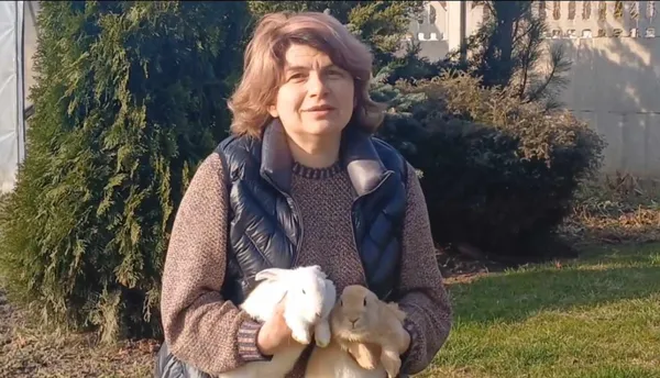 Кролики за донат на авто військовим: луцька волонтерка оголосила незвичний аукціон (відео)