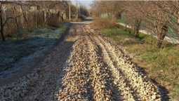 На Одещині дорогу «поремонтували» за допомогою рапанів (фото)
