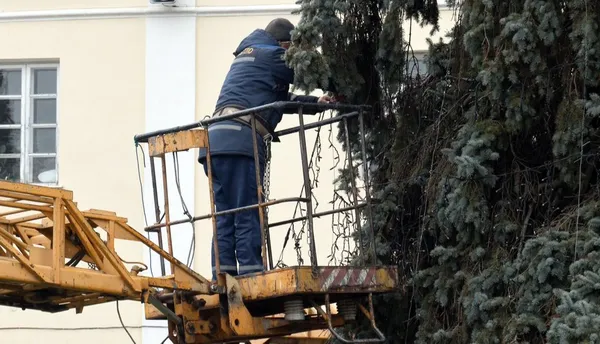 Скільки коштів у Луцьку виділили на прикраси ялинкового тріо (фото)