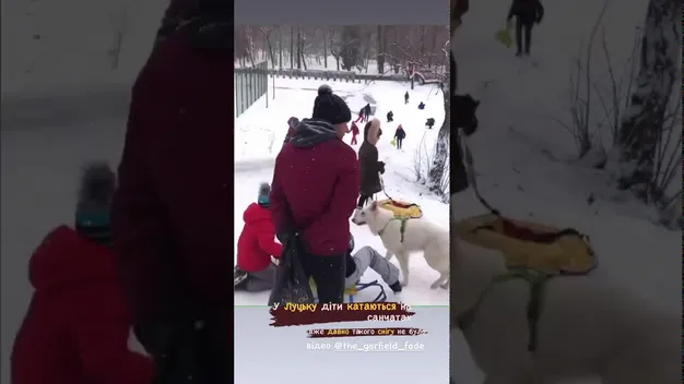 Головне у Луцьку за четвер, 14 січня