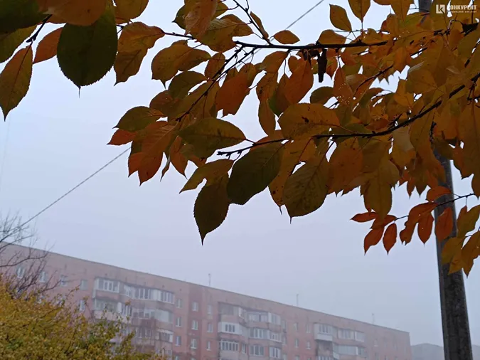 Луцьк знову втонув у тумані (фото)