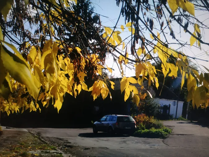 «Теплі» світлини: який він жовтогарячий осінній Луцьк