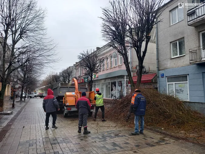 У центрі Луцька кронують дерева (фото)