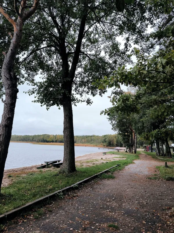 По-осінньому захмурене: показали краєвиди популярного на Волині озера (фото)