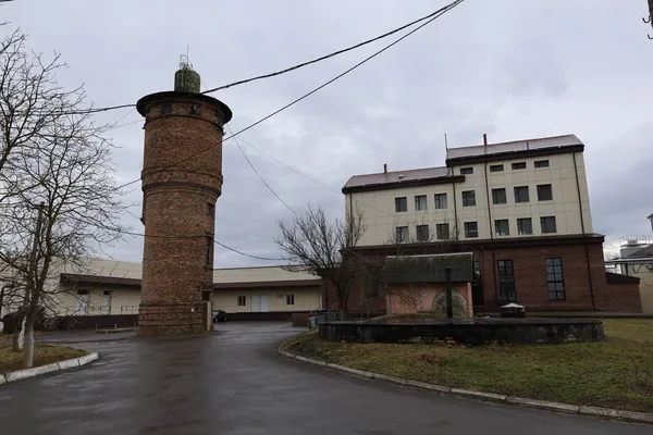 SKF, «Йоданка», «АБМ-Трейд»: Рудницький відвідав волинські підприємства (фото)