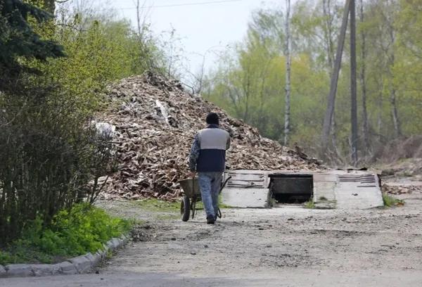 Хід чумою, або Політика на свинячих тушках