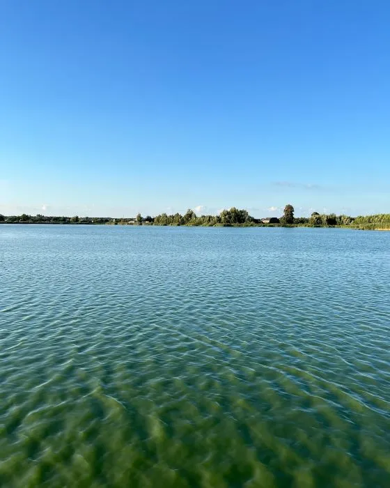 Прозора вода і багато риби: в селі на Ковельщині є озеро для відпочинку душею і тілом (фото)