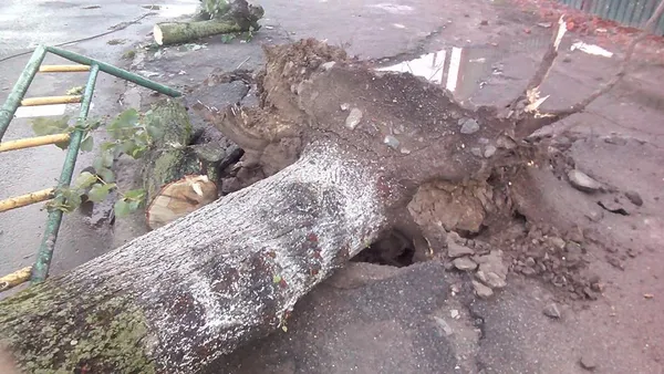 Що наробила негода в Луцьку  (фото, відео)