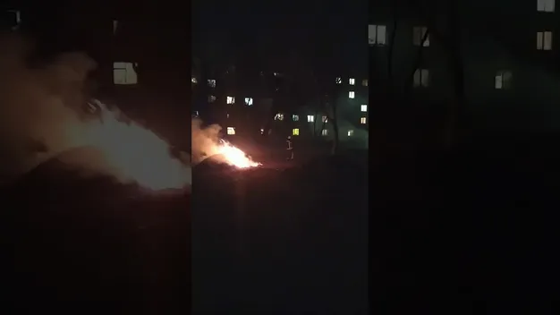 На проспекті Молоді в Луцьку підпалили гору листя (відео)