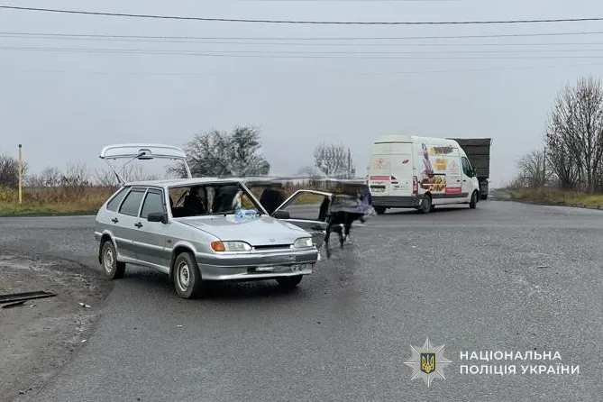 Лучанин на «теслі» потрапив у серйозну аварію на Львівщині (фото)