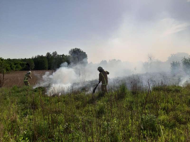 Згоріло пів поля: у Луцькому районі загасили масштабну пожежу (фото)