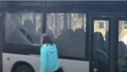 У Луцьку новий автобус №32 потрапив в аварію: розбилося скло (відео)