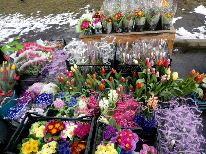 У Луцьку екоінспектори «полювали» на продавців первоцвітів