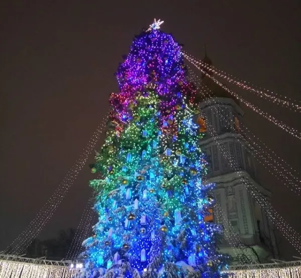 Це 29-метрове дерево привезли з Івано-Франківської області 