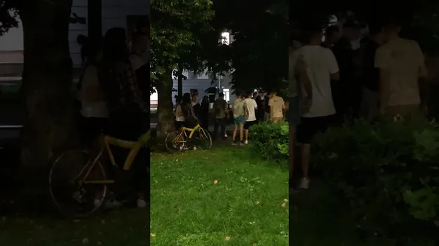 Уночі у Луцьку біля приміщення Нацполіції сталася масова бійка зі стріляниною (відео)