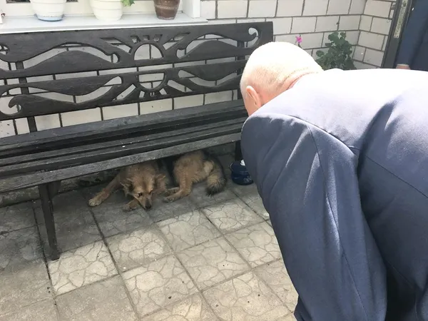 В «погоні» за губернатором Волині (фоторепортаж)