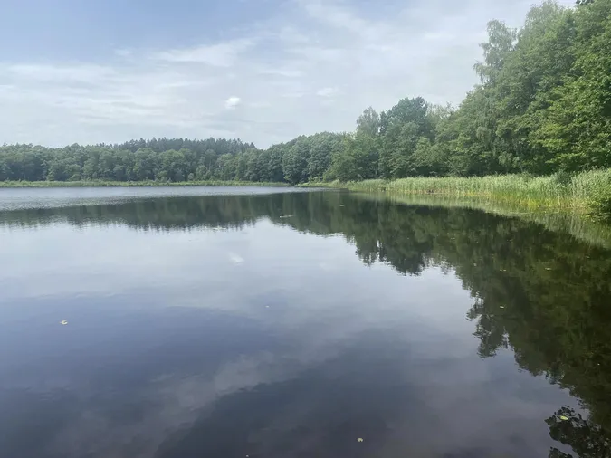 Тиша і спокій: в мережі показали краєвиди озера на Волині (фото)
