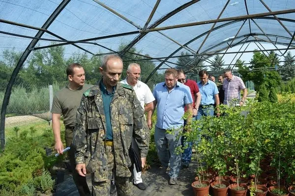 Чим можуть похвалитися лісогосподарські підприємства Волині 