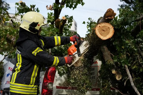 Луцькі рятувальники визволяли машини, на які впало дерево (фото)