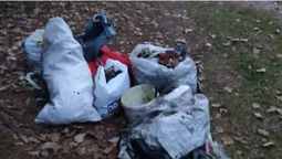 Волинянка прибирає сміття в лісі та пропонує запустити челендж (фото)