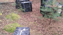 У лісі на Волині знайшли 16 ящиків сигарет (фото)